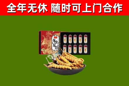 小榄镇烟酒回收冬虫夏草礼盒.jpg